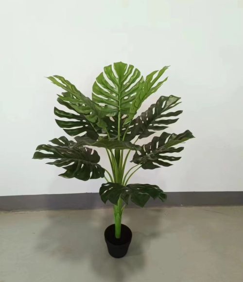 photo_2025-10-28_19-05-11