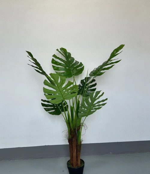 photo_2025-10-28_19-05-17