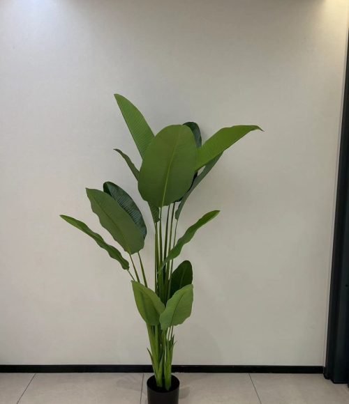 photo_2025-10-28_19-05-20