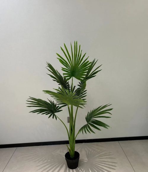 photo_2025-10-28_19-05-26