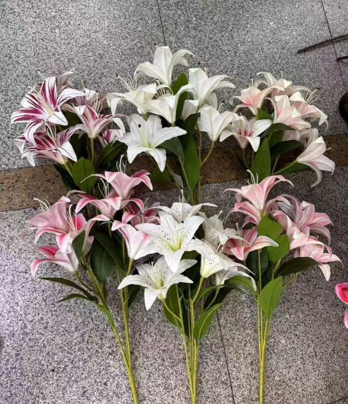 photo_2025-10-28_19-05-30